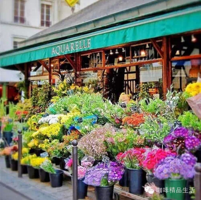 【生活】我想在街角，開一間花店，讓幸福在身邊蔓延……