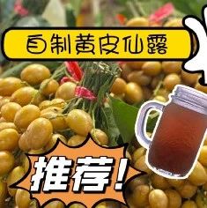 喜茶新品黃皮鮮露真的那么好喝？帶你復刻爆款~