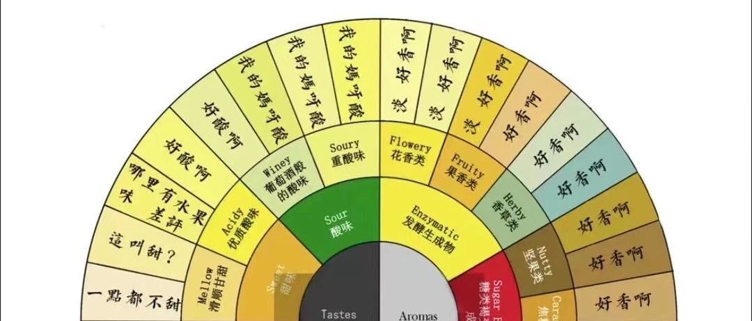 過于真實，消費者版咖啡風味輪