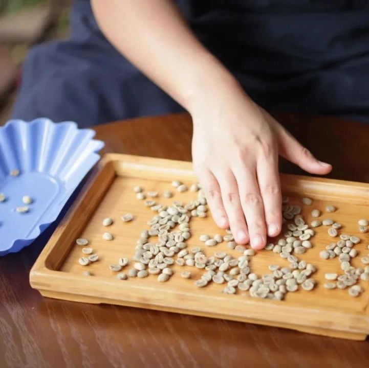 從零開(kāi)始的咖啡烘焙 | 烘焙第一課：首先要了解自己的“食材”