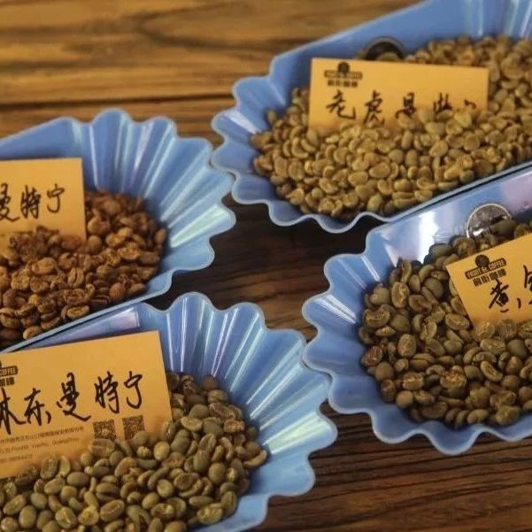 曼特寧|林曼/黃曼/虎曼/陳曼差別在哪？