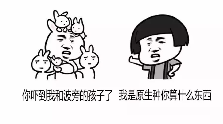 老司機在此，給你科普比人類還復雜的咖啡樹品種