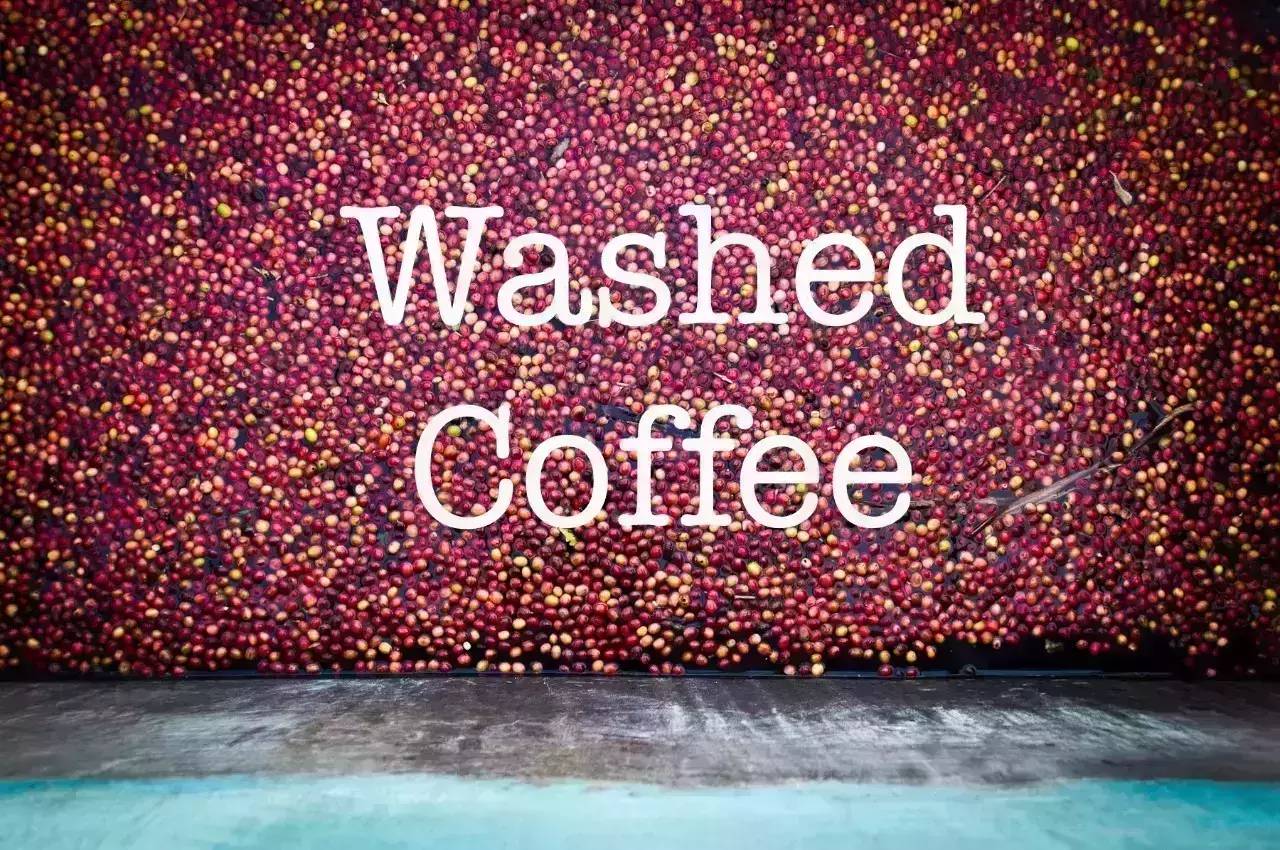 咖啡詞典 | 水洗法Washed