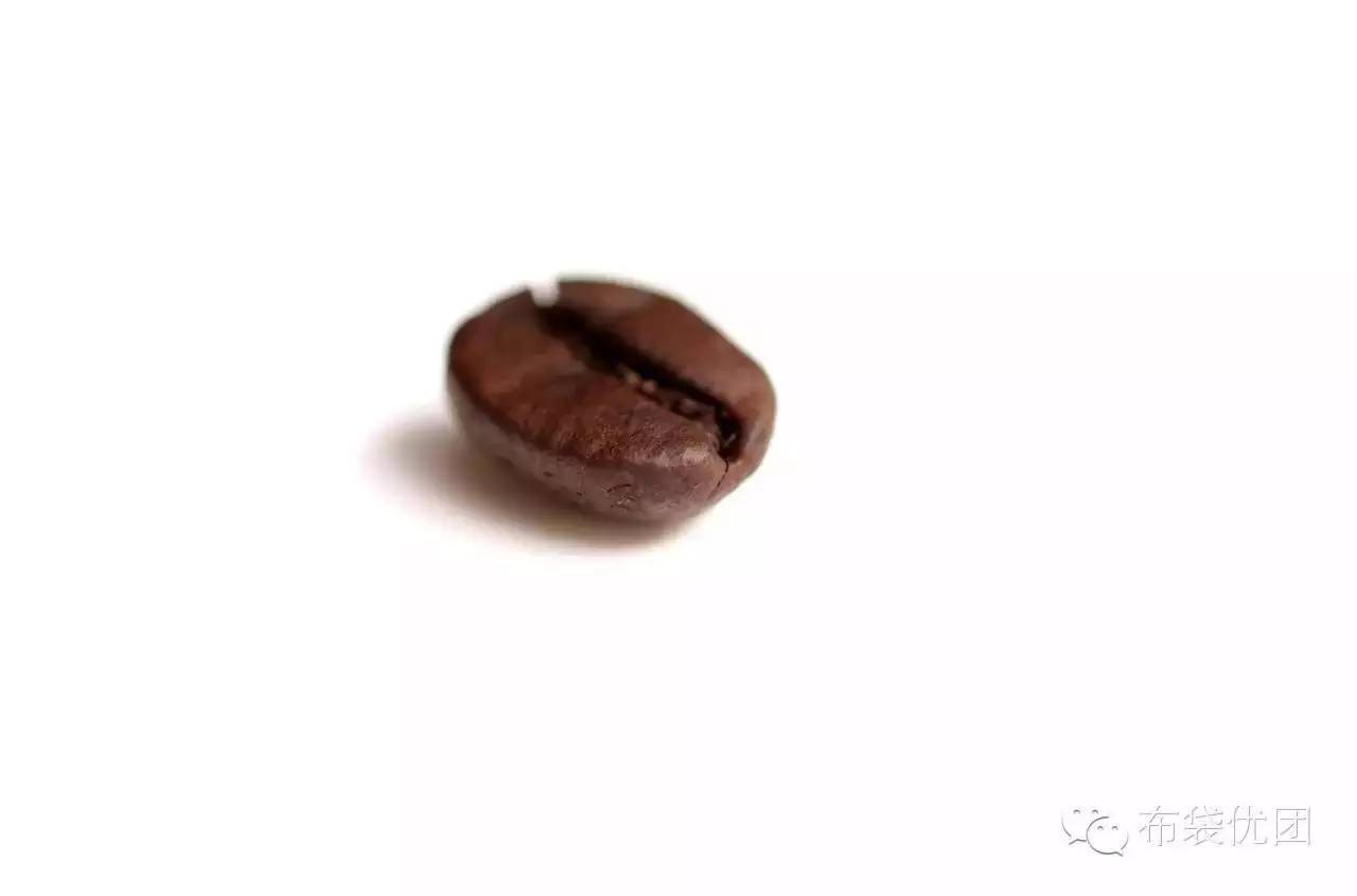 咖啡詞典 | 咖啡豆Coffee Beans