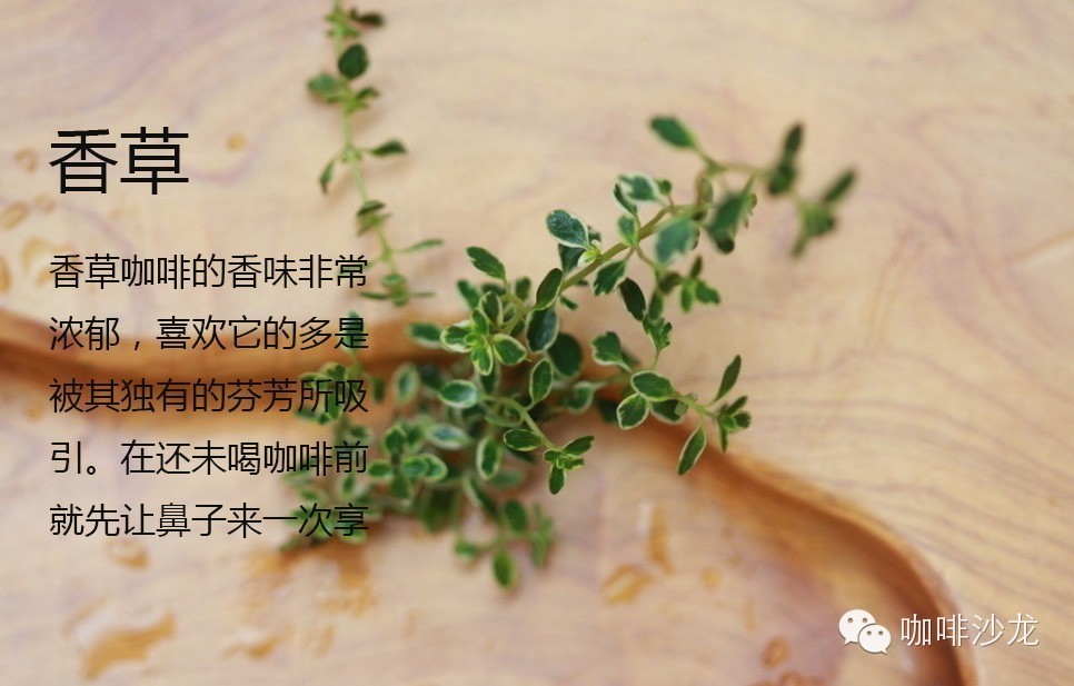 咖啡美味 | 最受大眾所喜愛(ài)的6種咖啡風(fēng)味