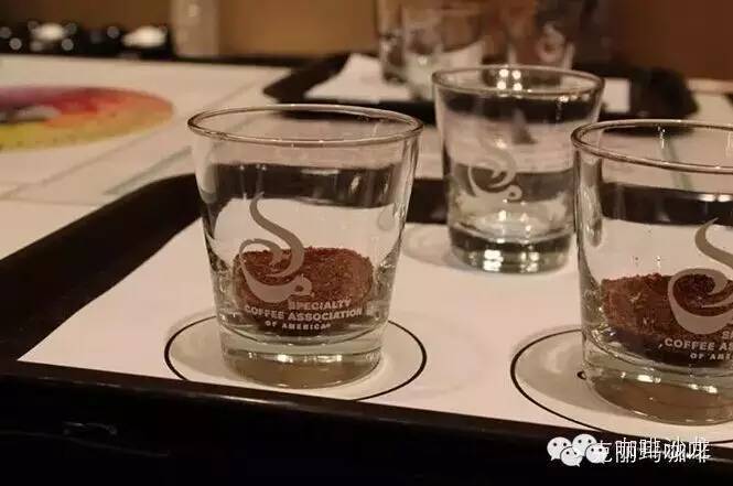 咖啡課程 | 4月19-27日 Q-Grader 國際咖啡杯測鑒定師