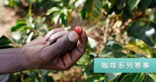 WCE系列咖啡賽事中國賽區(qū)報(bào)名通道開通