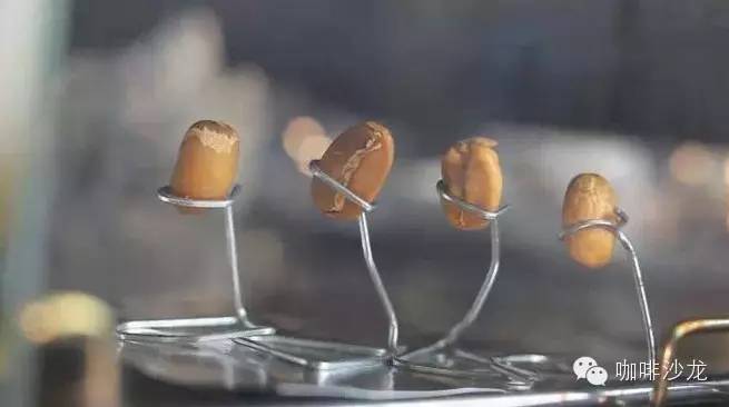 視頻 | 咖啡烘焙豆的舞蹈