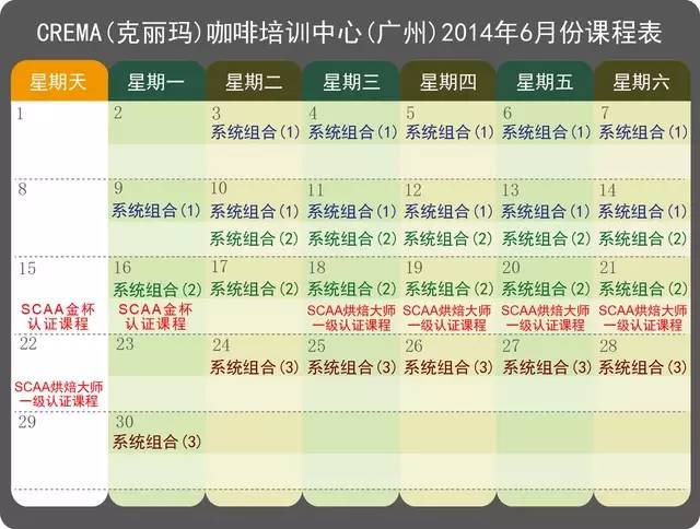 6月咖啡夢飛翔