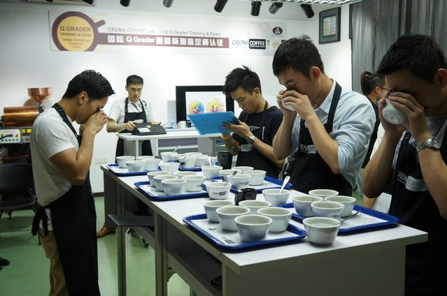 Q Grader 國(guó)際咖啡杯測(cè)鑒定師-預(yù)備課程