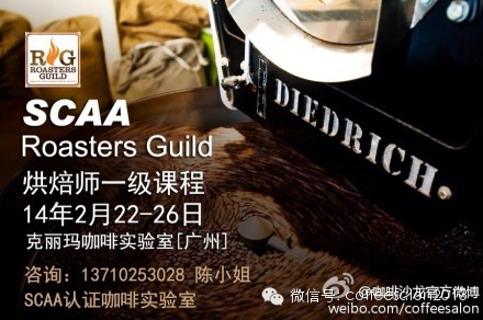 SCAA 烘焙大師一級認證課程