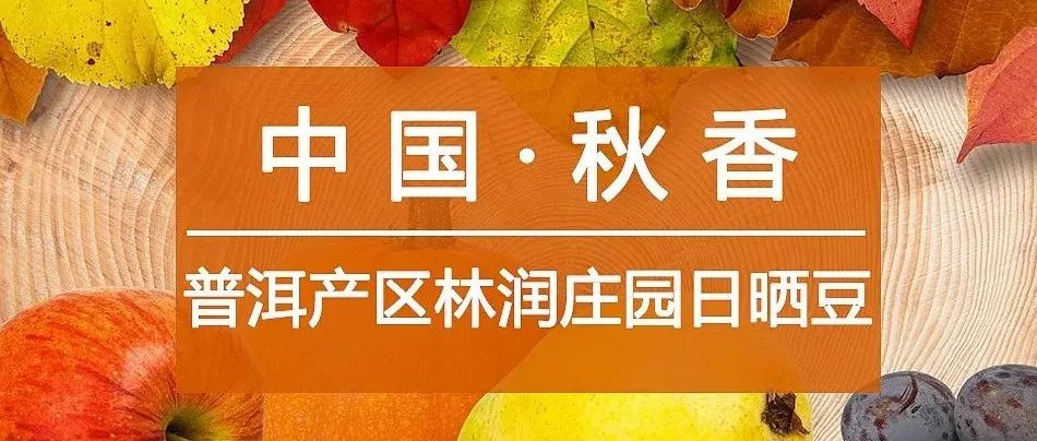 秋天喝啥咖啡最香？(有福利)