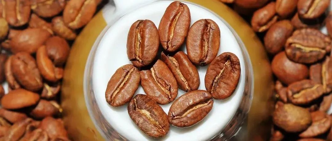 危地馬拉新豆第包半價(jià)>比瑰夏稀有-  爆品搶先購！