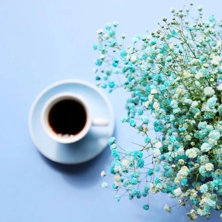 "香草的天空"咖啡豆火了>背后的故事更感人~