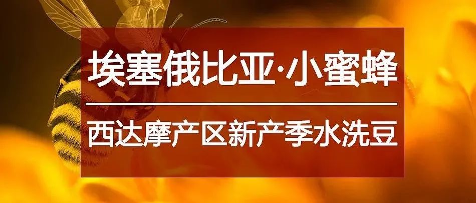 西達(dá)摩超甜豆  元搶購>速度入手！