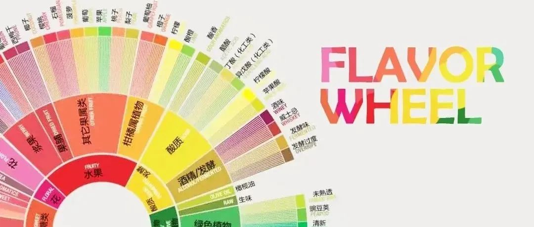 依靠咖啡風(fēng)味輪，真的能喝懂咖啡的風(fēng)味嗎？