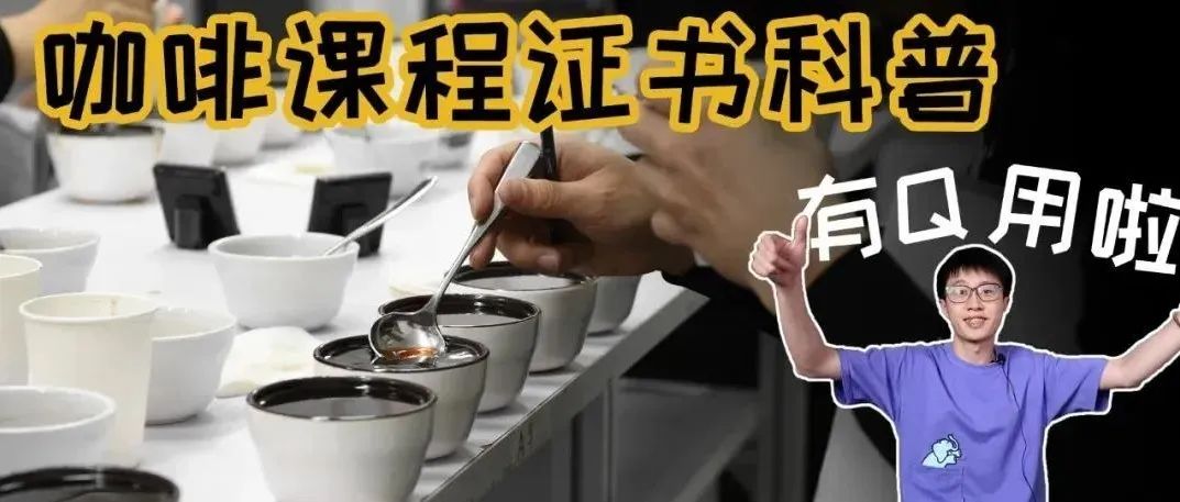 咖啡證書有用嗎？培訓(xùn)課程怎么選？一篇幫你看懂