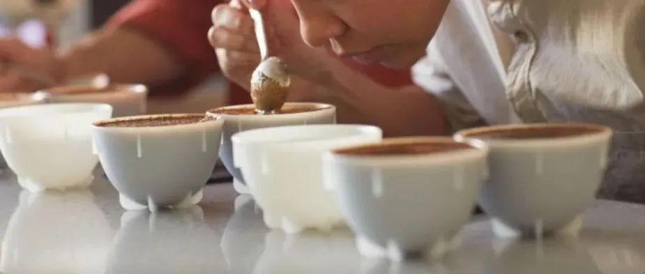 SCA精品咖啡協(xié)會表示：咖啡風(fēng)味輪和杯測表將會有新改革！