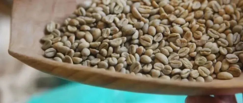 “Heirloom”到底是什么品種？