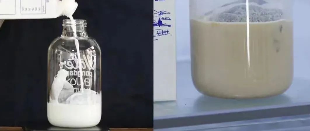 假如用牛奶代替水制作冷萃咖啡是否可行？