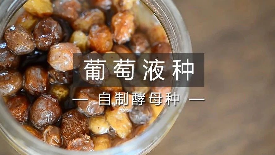 如何自制天然酵母？ 天養(yǎng)成葡萄菌種，外加老面制法【超級干貨】