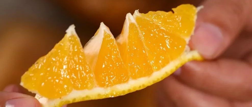 桔子橙子柚子總是挑花眼？那是因?yàn)槟氵€沒吃過這顆桔柚