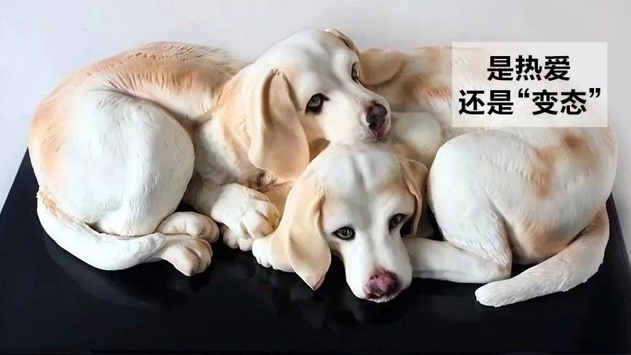 蛋糕做得太逼真，她被罵“變態(tài)”，一刀切下去，網友：你這是在虐待動物！