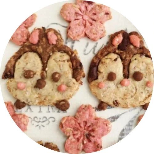 超可愛松鼠燕麥曲奇，高纖低卡解饞不長胖~