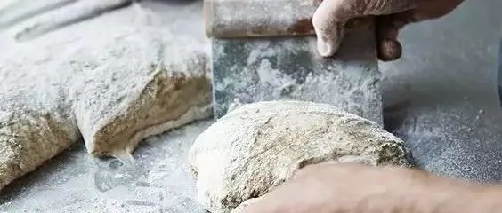 十萬個為什么之“面包”，看完再也不用問為什么！