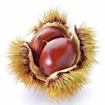 一鍵解惑“栗子醬、栗子泥、栗子......”究竟有何區(qū)別?。ㄒ汛虬た上螺d）