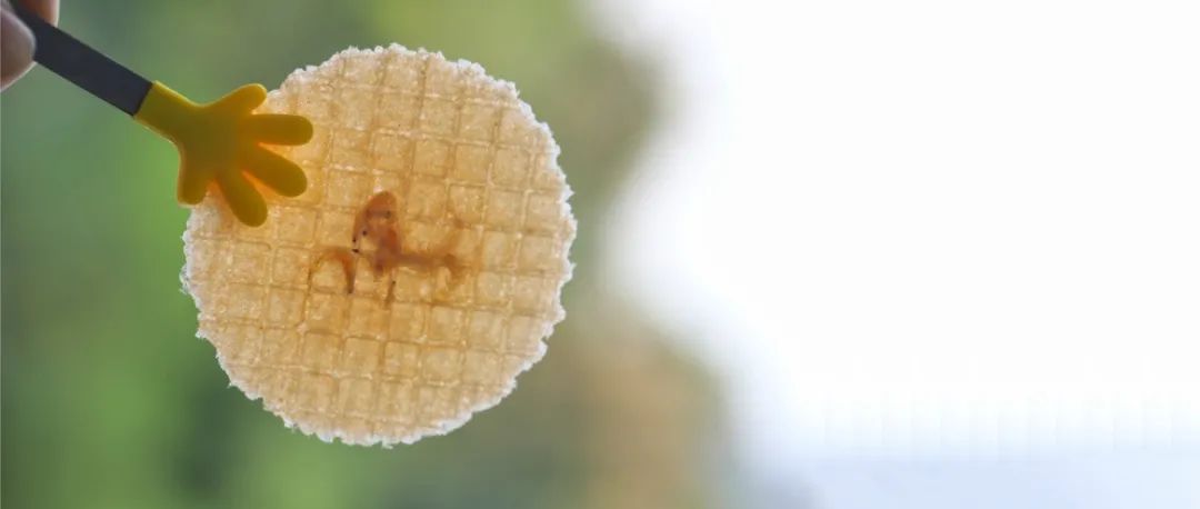 大軒輔食｜這不就是你們等了半年的——不止蝦片？