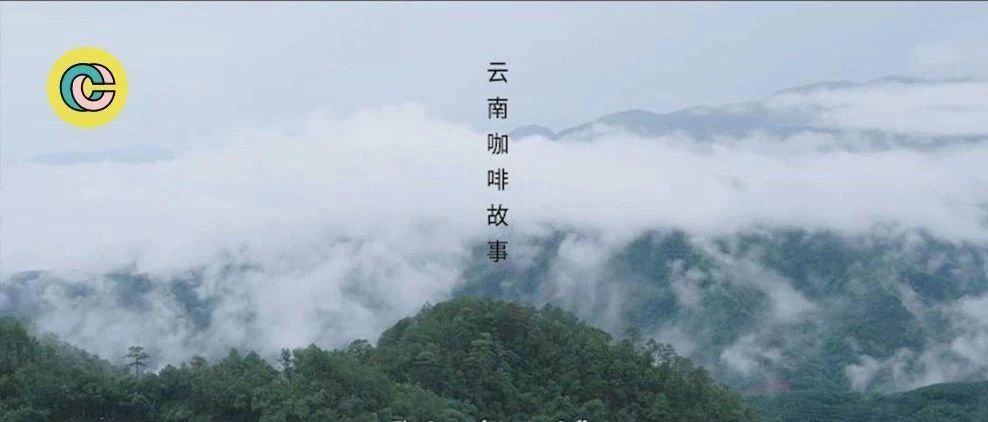 這樣的咖啡紀(jì)錄片，必然感動(dòng)無(wú)數(shù)中國(guó)人