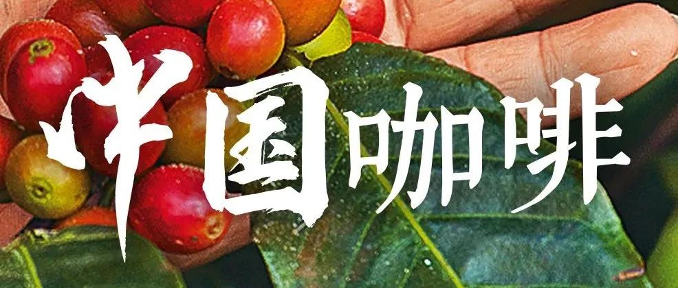 咖啡“入籍”中國，經(jīng)歷了什么？